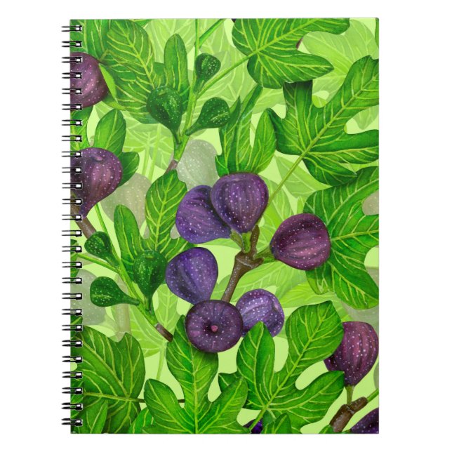 Figs 2 notebook (Front)