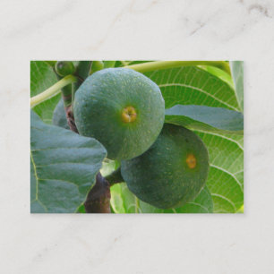 Figs Business Card