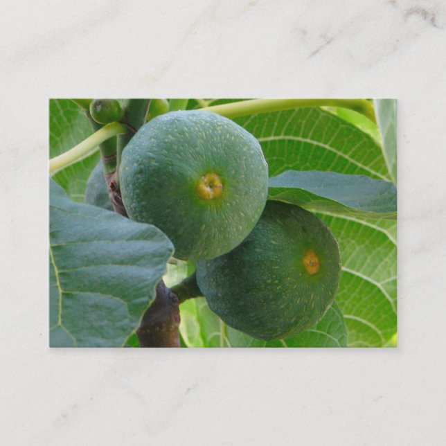 Figs Business Card (Front)