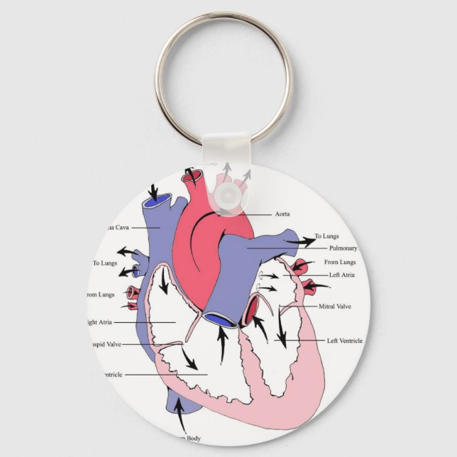 Figure 2. Normal Heart Function.jpg Key Ring (Front)