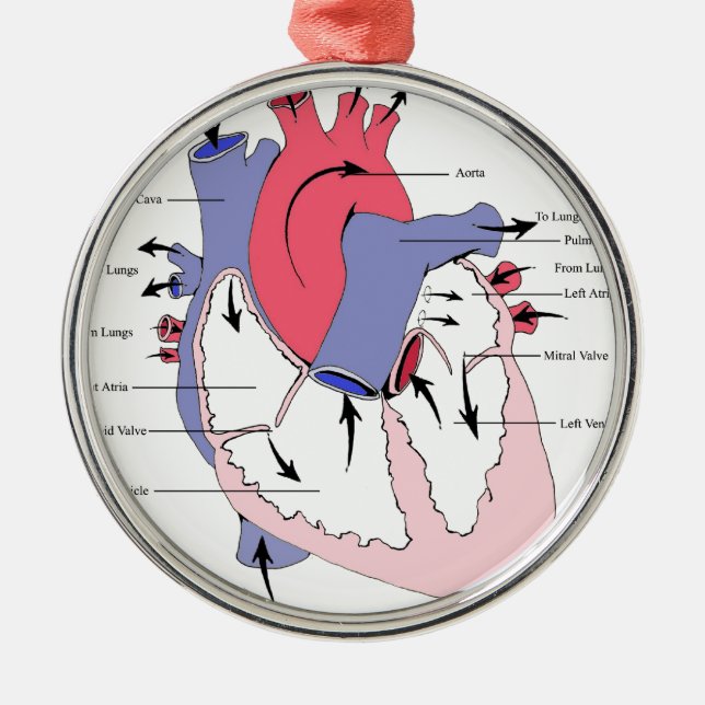 Figure 2. Normal Heart Function.jpg Metal Ornament (Front)