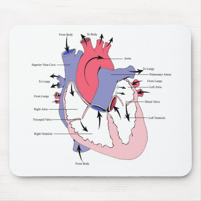 Figure 2. Normal Heart Function.jpg Mouse Pad (Front)