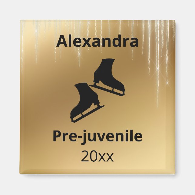 Figure skating level test year gold magnet (Front)