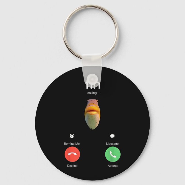 Fih Calling Decline Accept Phone Call Funny Fish Key Ring (Front)