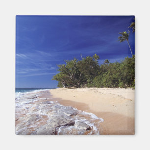 Fiji Islands, Tavarua. This beach on Tavarua, Magnet