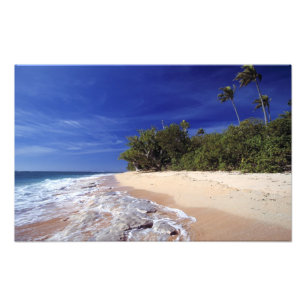 Fiji Islands, Tavarua. This beach on Tavarua, Photo Print