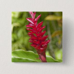 Fiji, Viti Levu Island. Flower. 15 Cm Square Badge