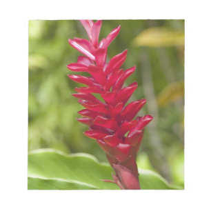 Fiji, Viti Levu Island. Flower. Notepad