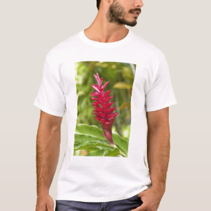 Fiji, Viti Levu Island. Flower. T-Shirt