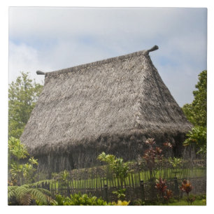 Fiji, Viti Levu Island. Polynesian Cultural Ceramic Tile