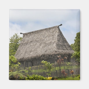 Fiji, Viti Levu Island. Polynesian Cultural Magnet