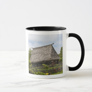 Fiji, Viti Levu Island. Polynesian Cultural Mug