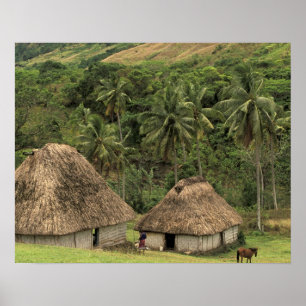 Fiji, Viti Levu, Navala, Traditional Bure houses Poster