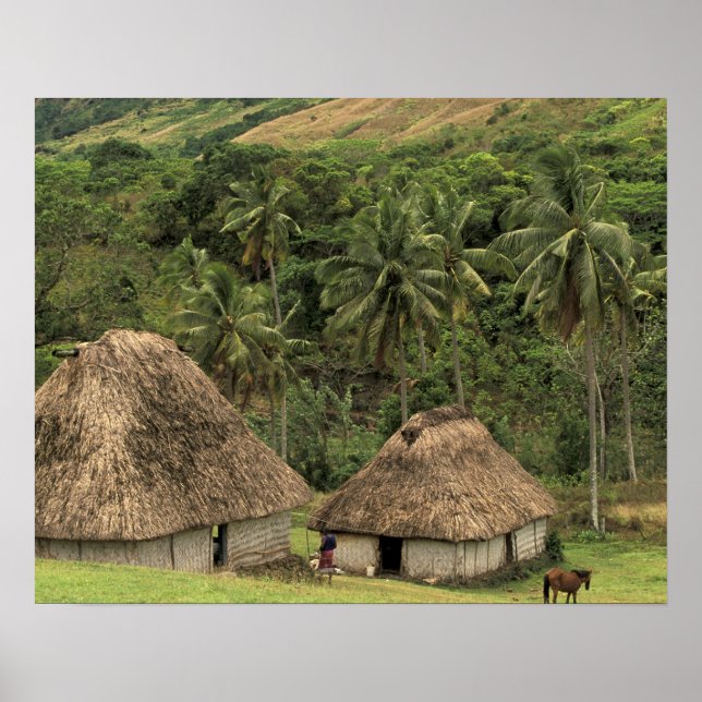 Fiji, Viti Levu, Navala, Traditional Bure houses Poster (Front)
