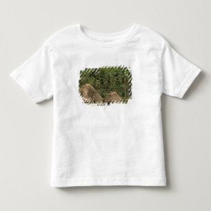 Fiji, Viti Levu, Navala, Traditional Bure houses Toddler T-Shirt