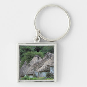 Fiji, Viti, Traditional hut houses. Key Ring