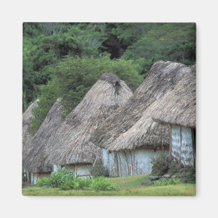 Fiji, Viti, Traditional hut houses. Magnet