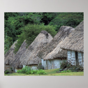 Fiji, Viti, Traditional hut houses. Poster