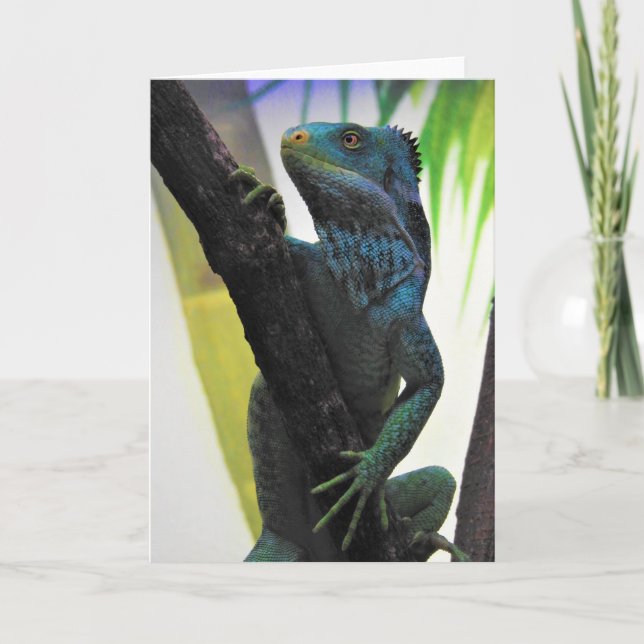 Fijian Crested Iguana Card (Front)