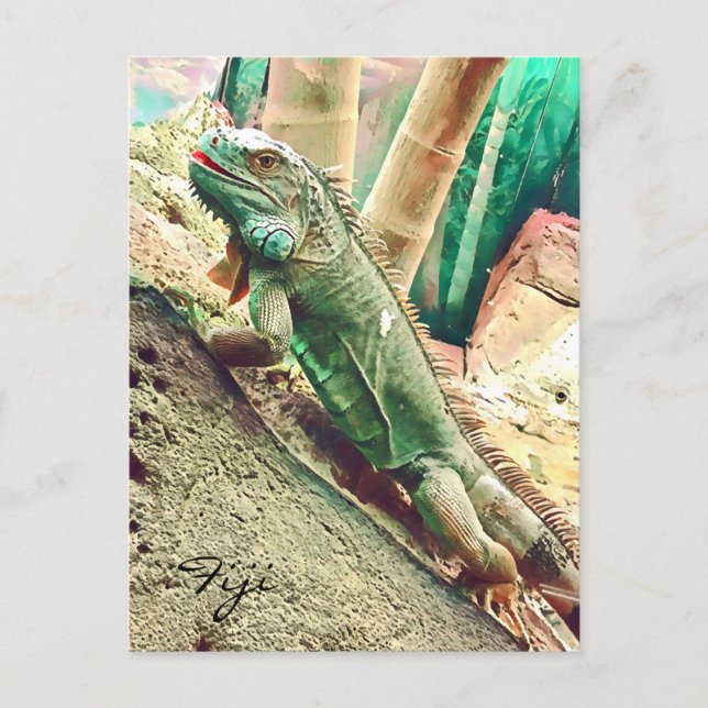 Fijian Iguana lizard reptile Postcard (Front)