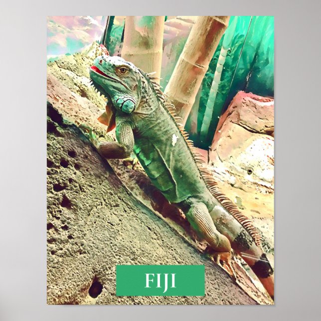 Fijian Iguana lizard reptile Poster (Front)