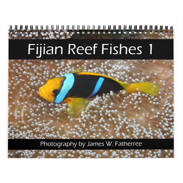 Fijian Reef Fishes Calendar 1 (Cover)