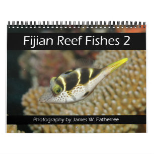 Fijian Reef Fishes Calendar 2