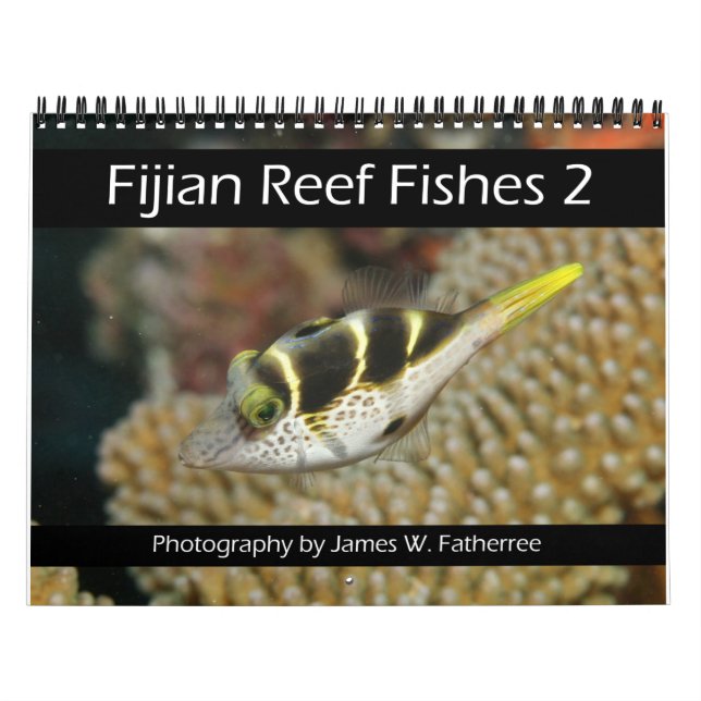 Fijian Reef Fishes Calendar 2 (Cover)