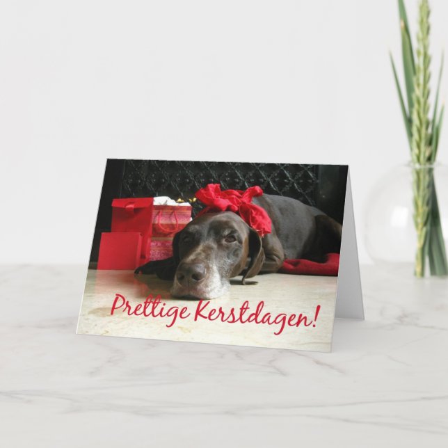 Fijne kerstdagen - Dutch Christmas Holiday Card (Front)