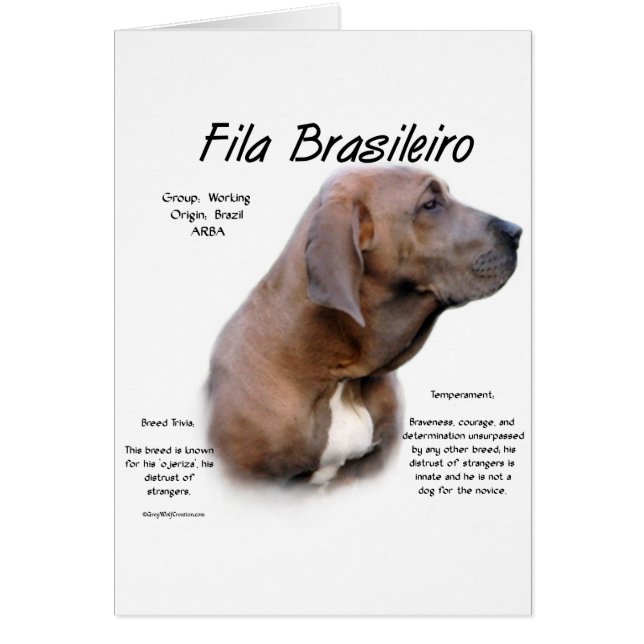 Fila Brasileiro History Design (Front)
