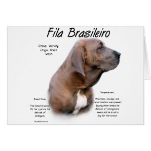 Fila Brasileiro History Design