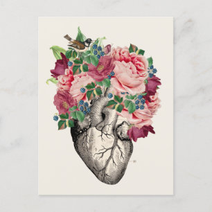 Filled to Overflowing Anatomical Heart Postcard