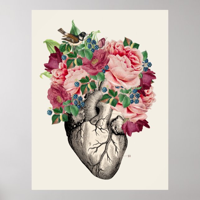 Filled to Overflowing Anatomical Heart Poster (Front)
