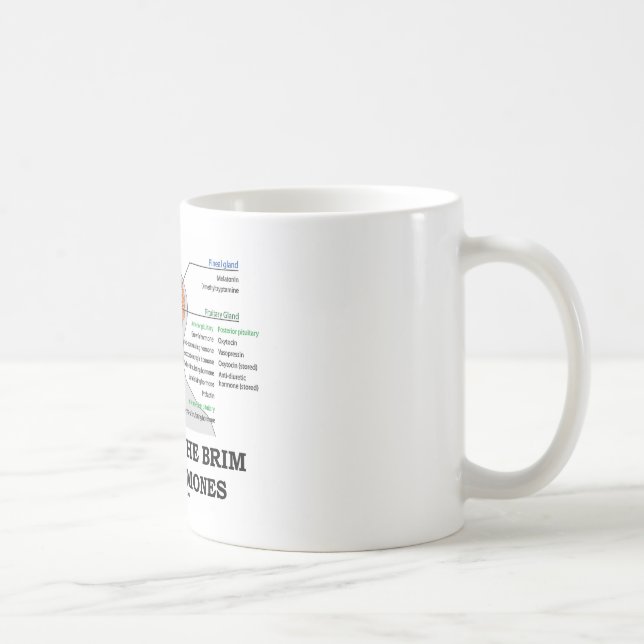 Filled To The Brim With Hormones (Anatomy) Coffee Mug (Right)