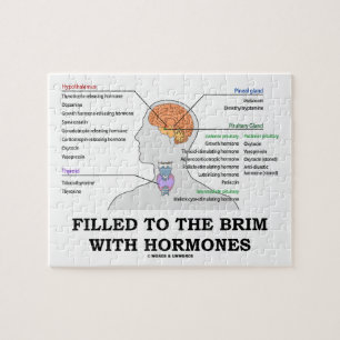 Filled To The Brim With Hormones Medical Humour Jigsaw Puzzle