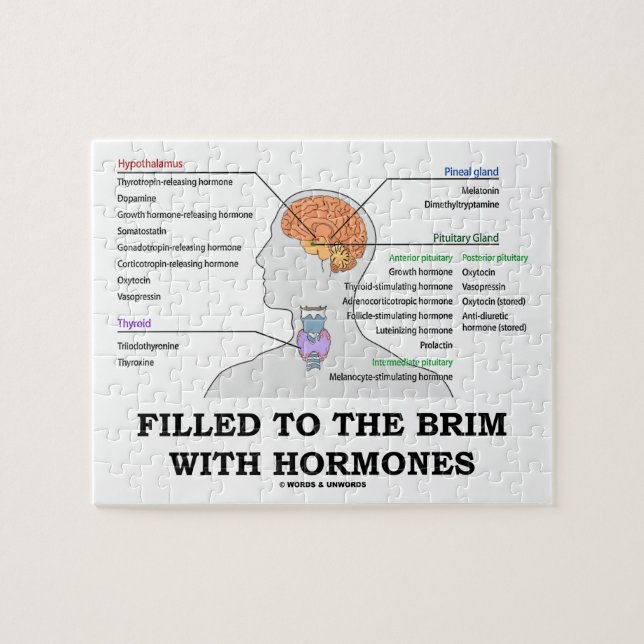Filled To The Brim With Hormones Medical Humour Jigsaw Puzzle (Horizontal)