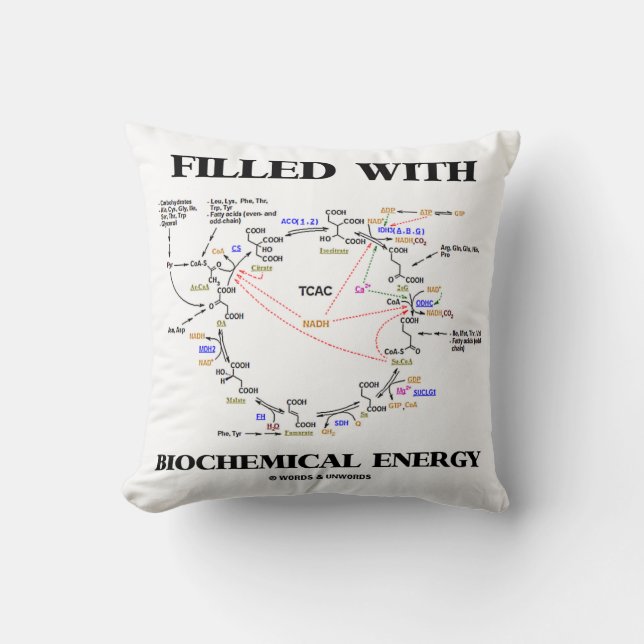 Filled With Biochemical Energy (Krebs Cycle) Cushion (Front)