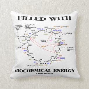 Filled With Biochemical Energy (Krebs Cycle) Cushion