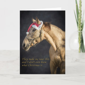 Filly looking silly at Christmas Holiday Card