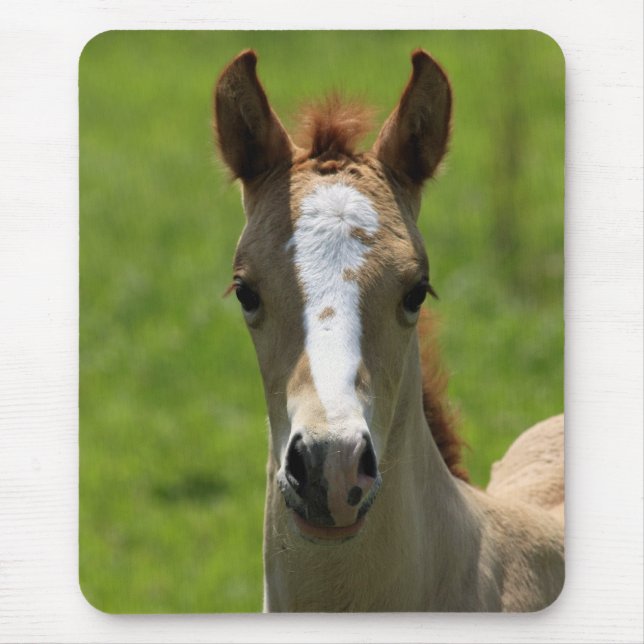 Filly Mouse Pad (Front)