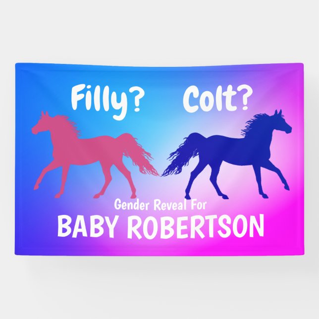 Filly Or Colt Western Style  Banner (Horizontal)