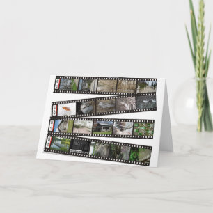 Film Strip 2003-04 Greeting Card