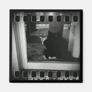 Film Strip Lucy Magnet