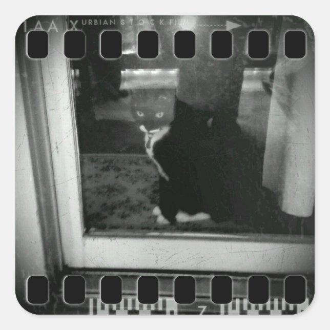 Film Strip Lucy Square Sticker (Front)