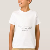 Fin Whale Illustration