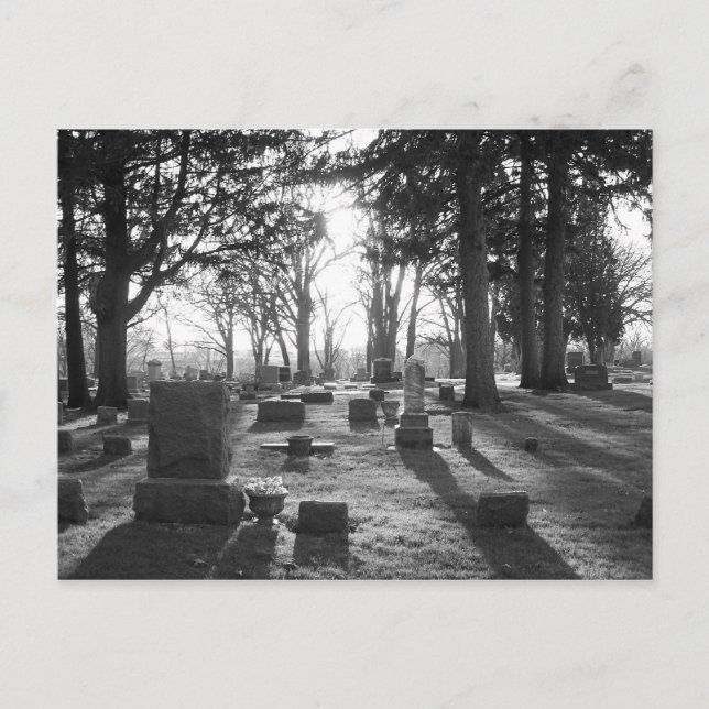 Final Sunset (b&w) Postcard (Front)