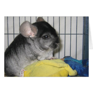 Finally Home Card, Wubbzy and his Wubbzy Doll