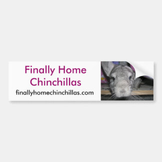 Finally Home Chinchillas Bumper Sticker, Esther Sticker