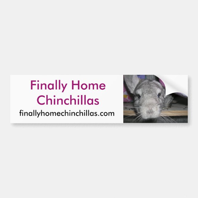 Finally Home Chinchillas Bumper Sticker, Esther Sticker (Front)
