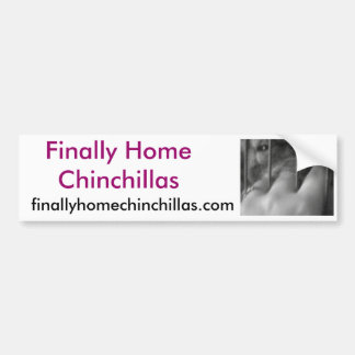 Finally Home Chinchillas, Chilli Bumper Sticker